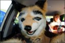 H-Con 11 © Tioh